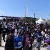 marafon 234