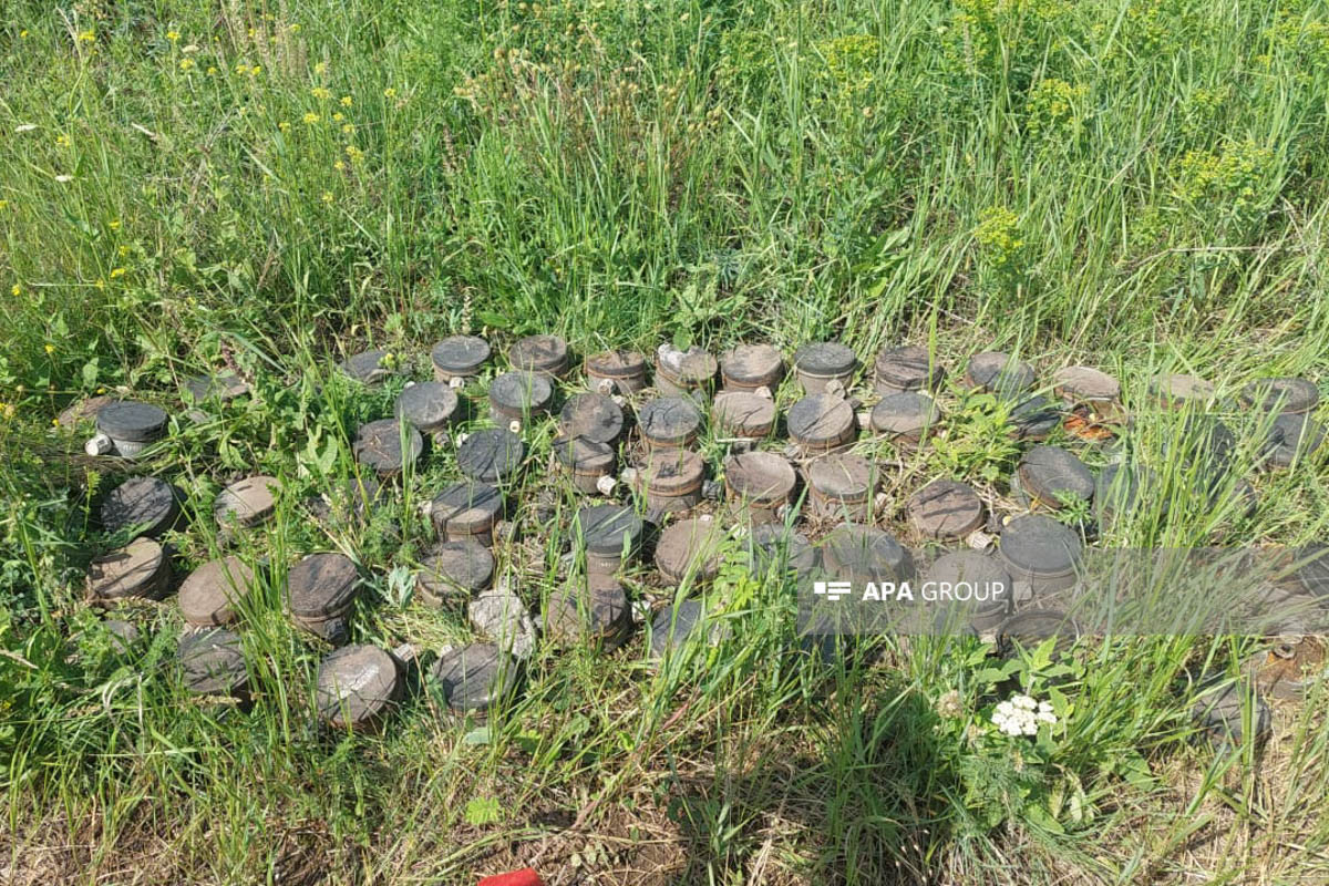 Bağanıs Ayrım kəndi minalardan belə təmizlənir - FOTOLAR