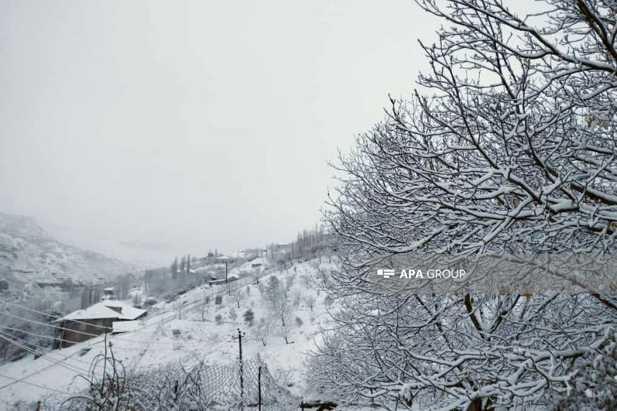 Qaxın bu kəndinə qar yağdı - VİDEO