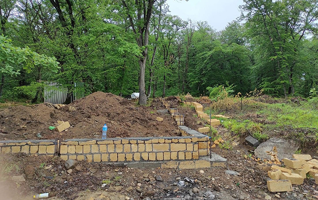 Vəzifəli şəxslərə cinayət işi açıldı - Meşə torpaqlarını satıblar