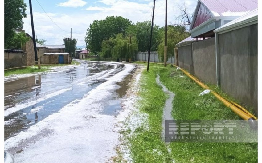 Şərura dolu düşdü - FOTOLAR