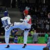 taekvondo