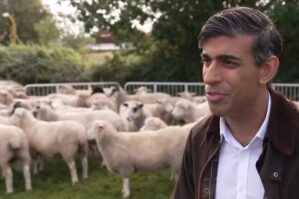 Britaniya baş nazirinin "qoyun piarı" baş tutmadı - VİDEO