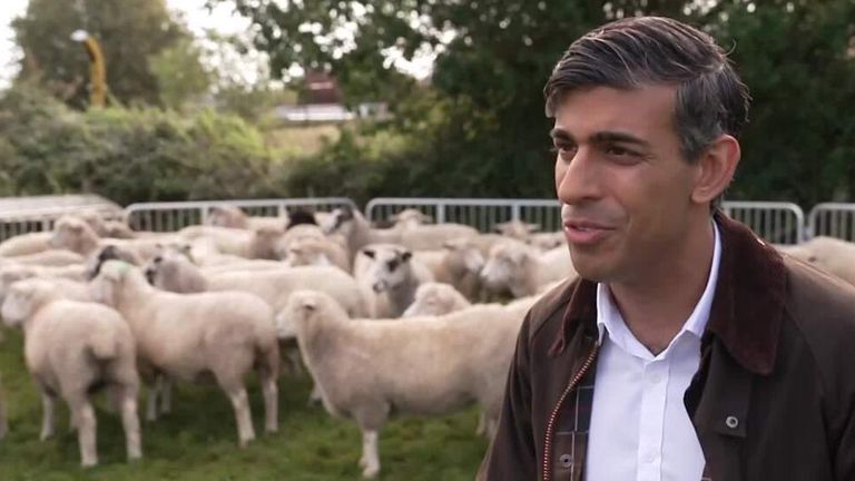 Britaniya baş nazirinin "qoyun piarı" baş tutmadı - VİDEO