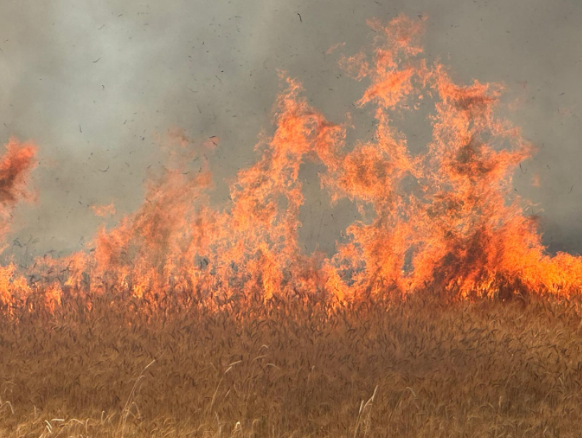 Türkiyənin 5 vilayətində meşə yanğınları başladı - Xəbərdarlıq olundu / FOTO