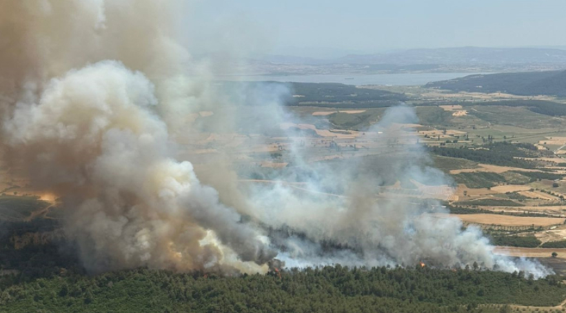 Türkiyənin 5 vilayətində meşə yanğınları başladı - Xəbərdarlıq olundu / FOTO