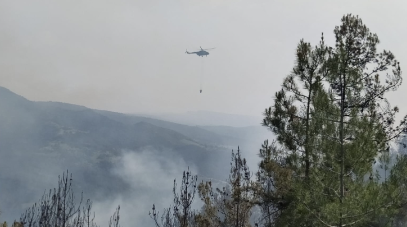 Türkiyənin 5 vilayətində meşə yanğınları başladı - Xəbərdarlıq olundu / FOTO