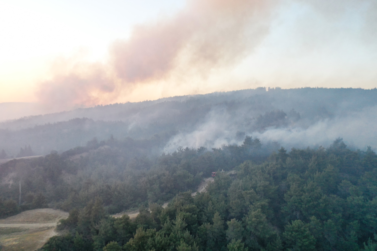 Çanaqqaladakı meşə yanğını məhdudlaşdırıldı - FOTOLAR