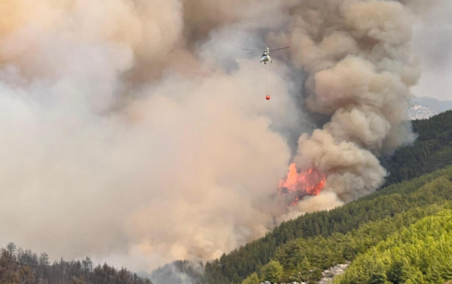Türkiyə şəhərində meşə yanğını - VİDEO