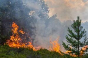 Ağstafadakı güclü yanğın məhdudlaşdırıldı
