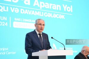 Ümumi həll yolları tapmalıyıq - COP29-un prezidenti