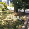 park 0