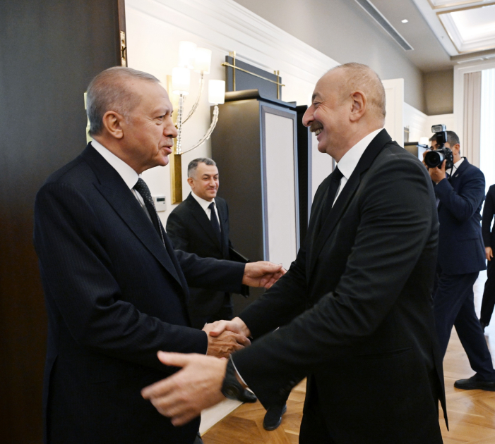 Prezidentlər Ankarada hava limanında görüşdü - FOTOLAR