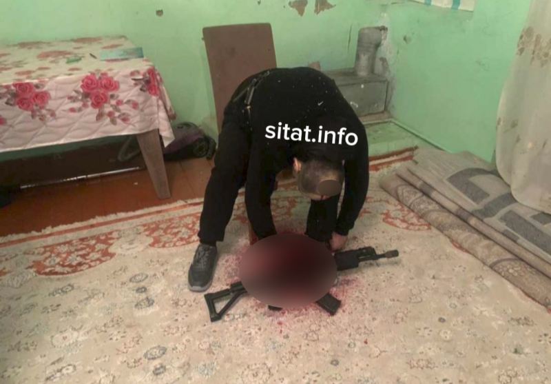 qetl1719397687