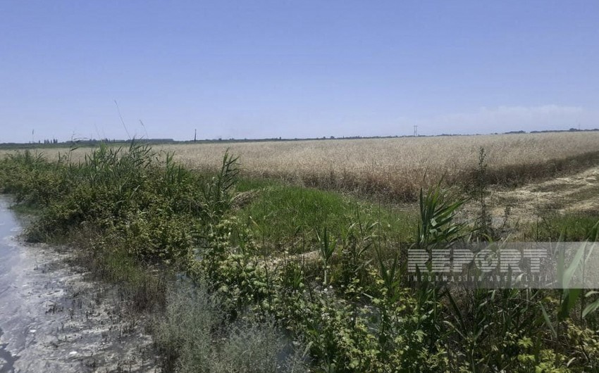 Qarabağ kanalının bəndi dağıldı: bu əraziləri su basdı - FOTOLAR