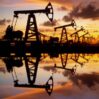 1703571253 neft 1