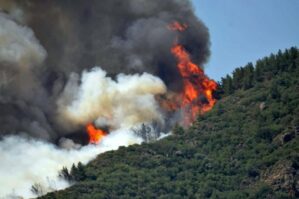 Türkiyədə meşə yanır