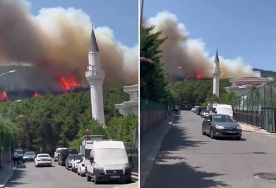 İstanbulda məşhur meşə yandı - FOTOa