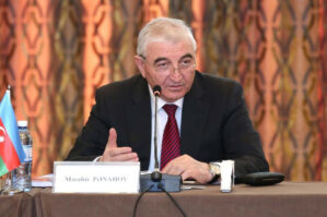 Məzahir Pənahov: "Bu şəxslər cəzalandırılacaq"