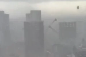 Adanada fırtına: ağaclar qırıldı, kran aşdı - VİDEO