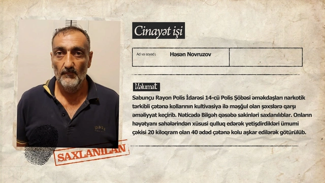 Polisdən əməliyyat: Bilgəhdə çətənə kolları yetişdirən şəxslər ələ keçdilər - VİDEO