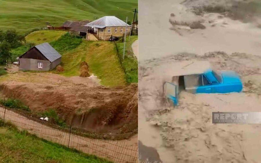 Astarada elektrik dirəkləri aşdı: iki inəyi cərəyan vurdu - VİDEO