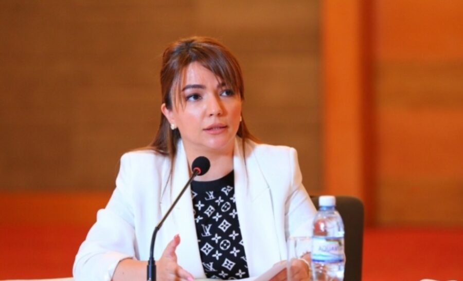 Agentlik sədri QHT-lərin COP29-a hazırlığından danışdı - VİDEO