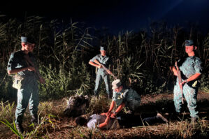 DSX və DİN birgə əməliyyat keçirdi - FOTO