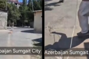 Sumqayıtda dəhşət: Boğazlarına ip salıb sürüdülər - VİDEO