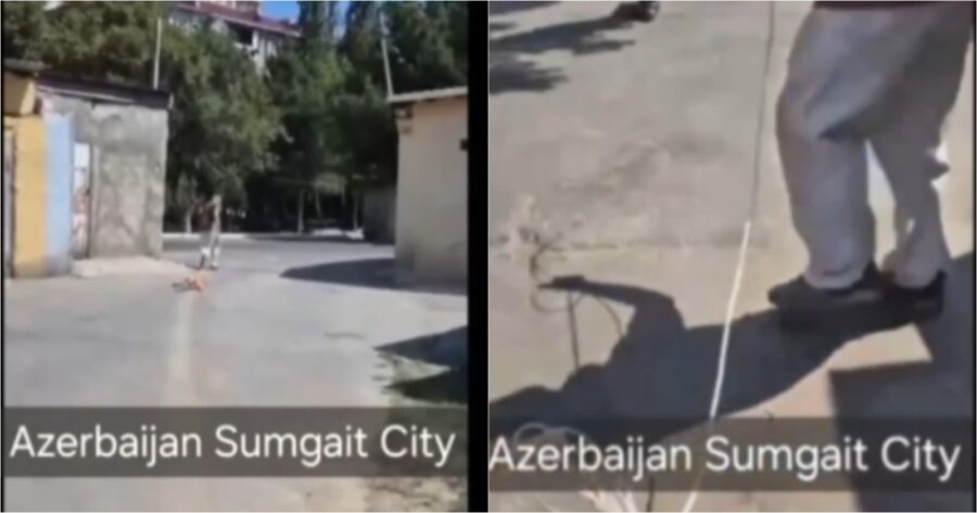 Sumqayıtda dəhşət: Boğazlarına ip salıb sürüdülər - VİDEO