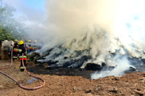 Şərur və Sədərəkdə yanğınlar - FOTO