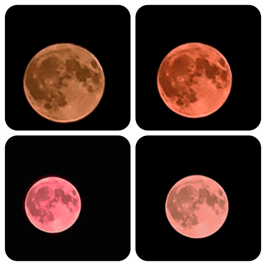 İlin ilk Super Ayı... - FOTO / VİDEO