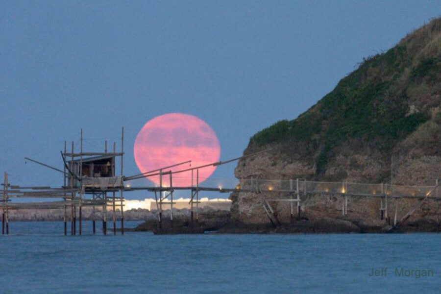 İlin ilk Super Ayı... - FOTO / VİDEO