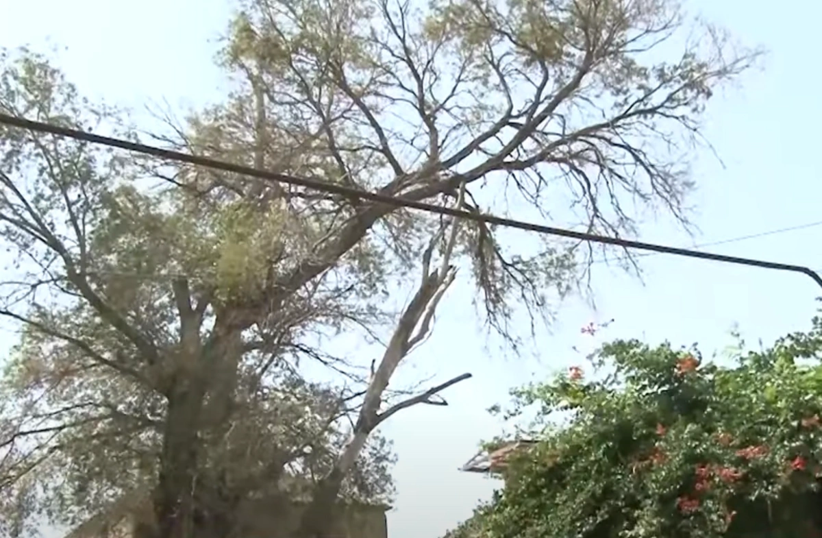 Sumqayıt sakinləri qorxu içində: "Hər an xəsarət ala bilərik!" - VİDEO