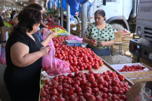 Bazarlarda mövsümi məhsullar niyə bahadır? - VİDEO