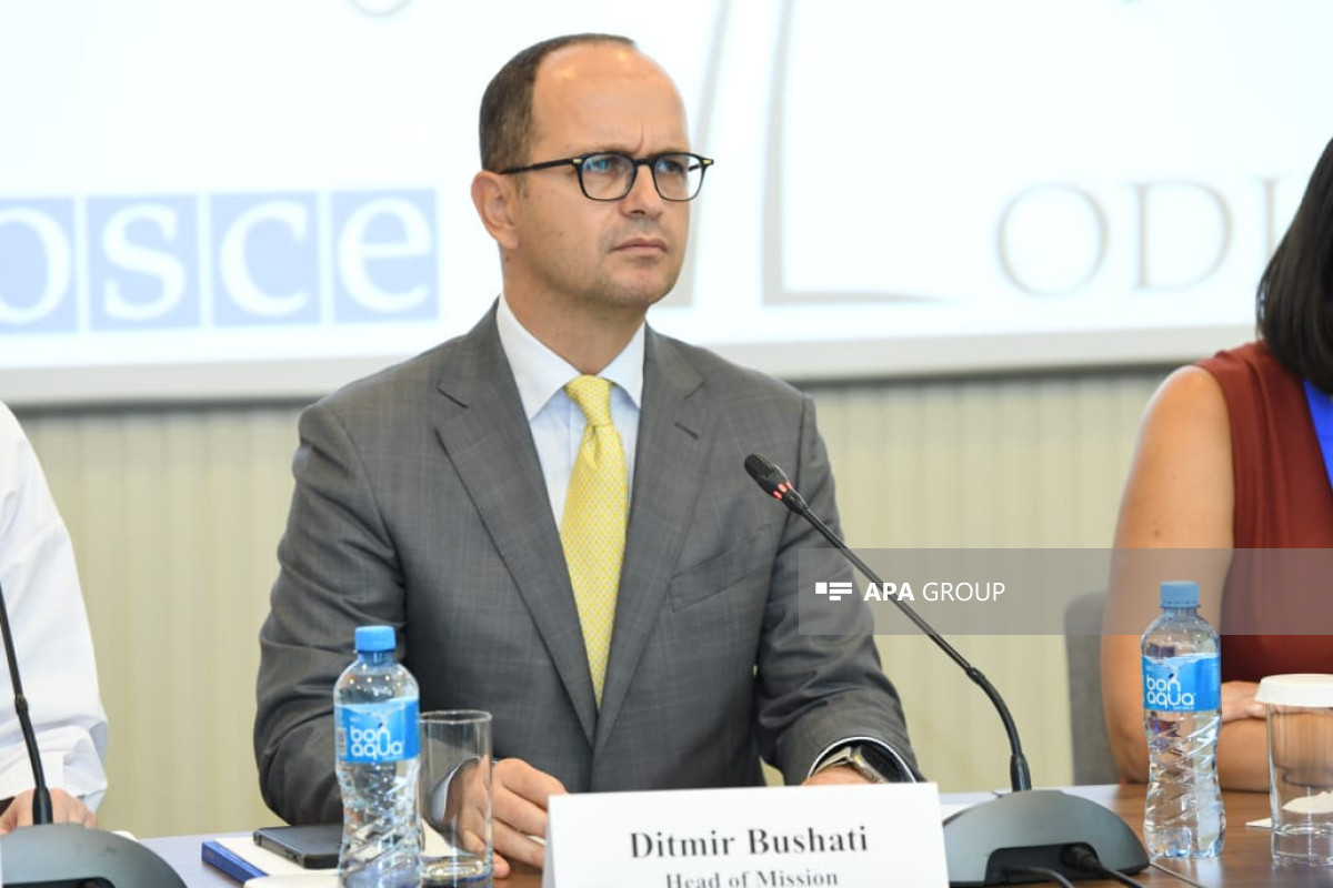 Bizim bu kimi səlahiyyətlərimiz yoxdur - Ditmir Buşati