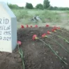 ferid 1