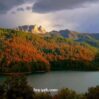 goygol