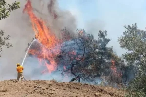 Türkiyənin 241 nöqtəsindəki yanğınlar söndürüldü