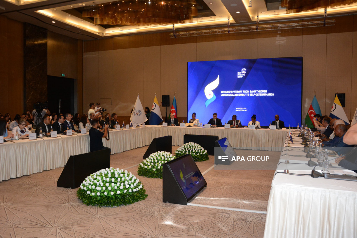 Bakıda konfrans keçirildi: bəyannamə qəbul edildi - FOTOLAR