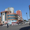 lotos
