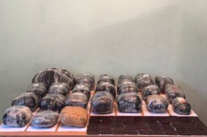 İrandan narkotikin keçirilməsinin qarşısı alındı