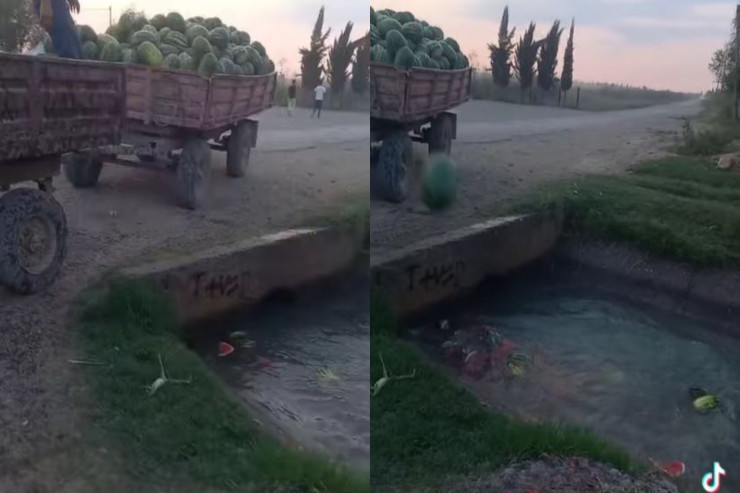 Bərdədə qarpızları niyə kanala atdılar? - VİDEO 1 Bərdədə qarpızları niyə kanala atdılar? - VİDEO