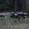 robot dog bad one 700x394 1