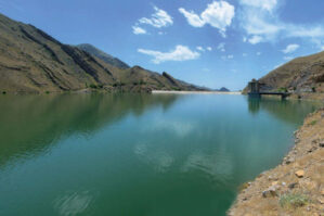 Su ehtiyatlarımızın azalmasının səbəbi: Neftçala rayonunda...