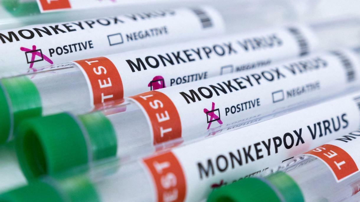 Meymunçiçəyi Azərbaycanda yayıla bilər: nə etmək lazımdır? - VİDEO