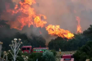 Türkiyədə daha bir güclü yanğın: 455 ailə təxliyə olundu