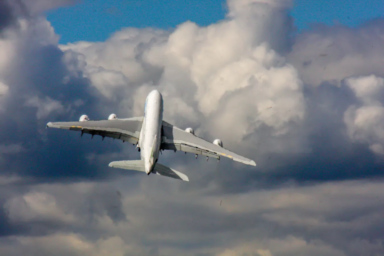 Mumbay-Münhen reysində bomba həyəcanı: Təyyarə Ərzurumda eniş etdi