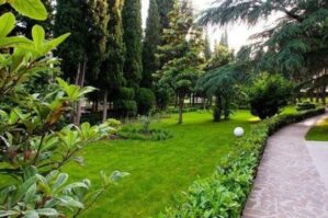 “Yaşıllıqların götürülməsi Qaydası” dəyişdi