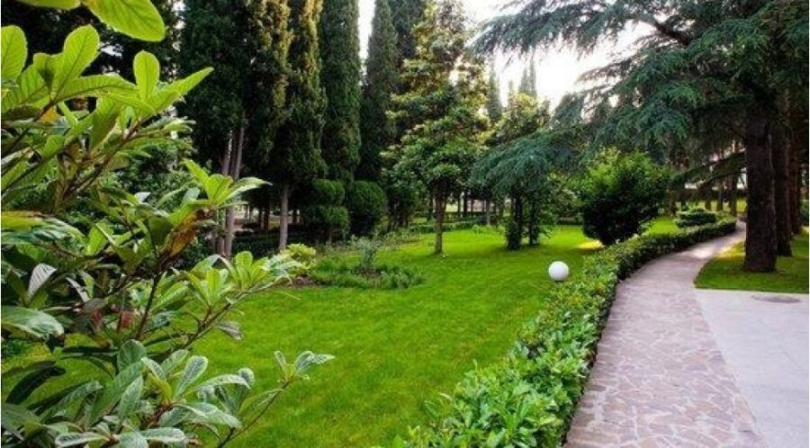 “Yaşıllıqların götürülməsi Qaydası” dəyişdi